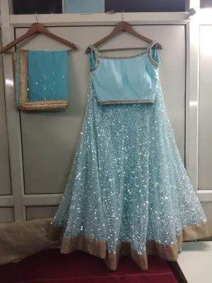 Heavy Sequin Georgette Lehenga Choli