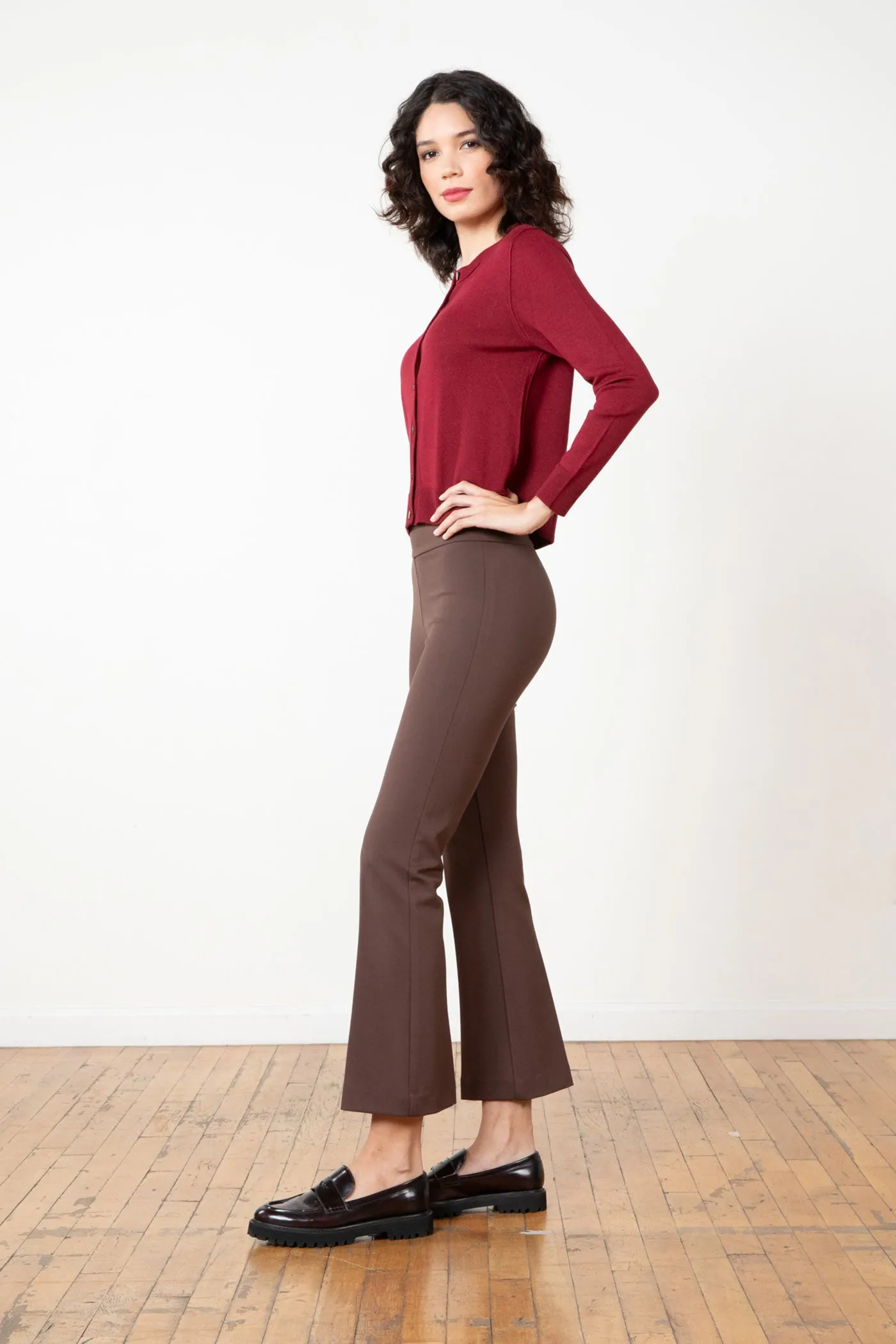 LEO IN BROWN