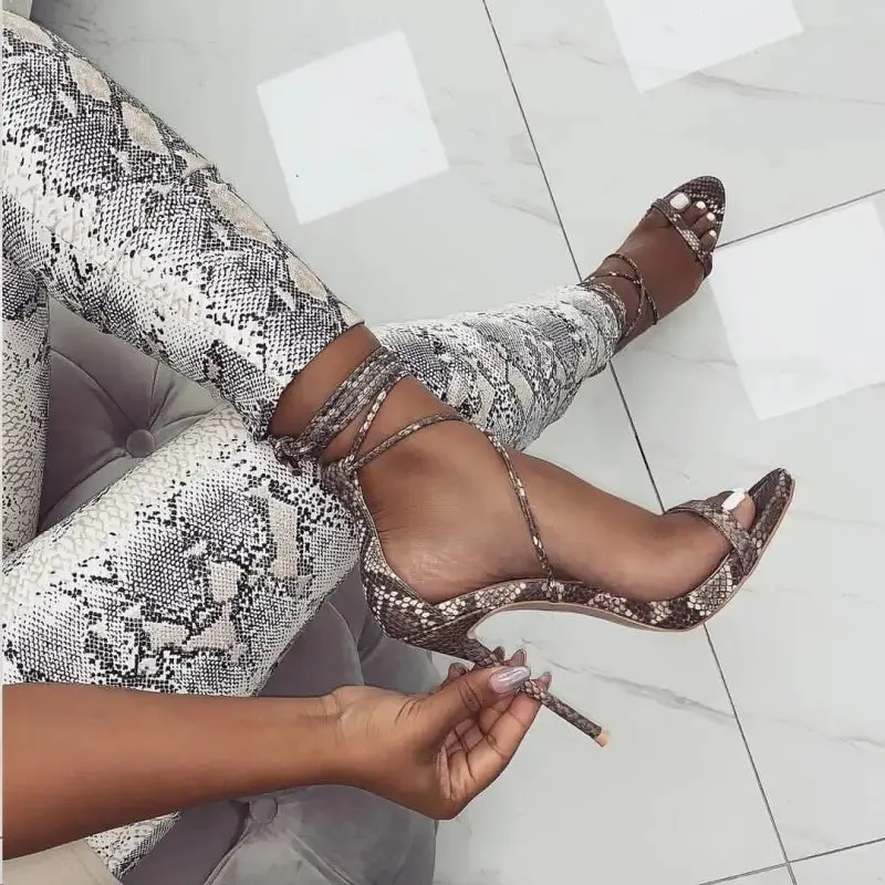 Women's High Heels | Snake Label Fine Heel 11.5CM Pointed Toe Elegance